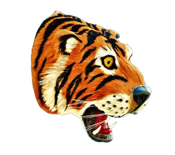 Hanging Tiger Head