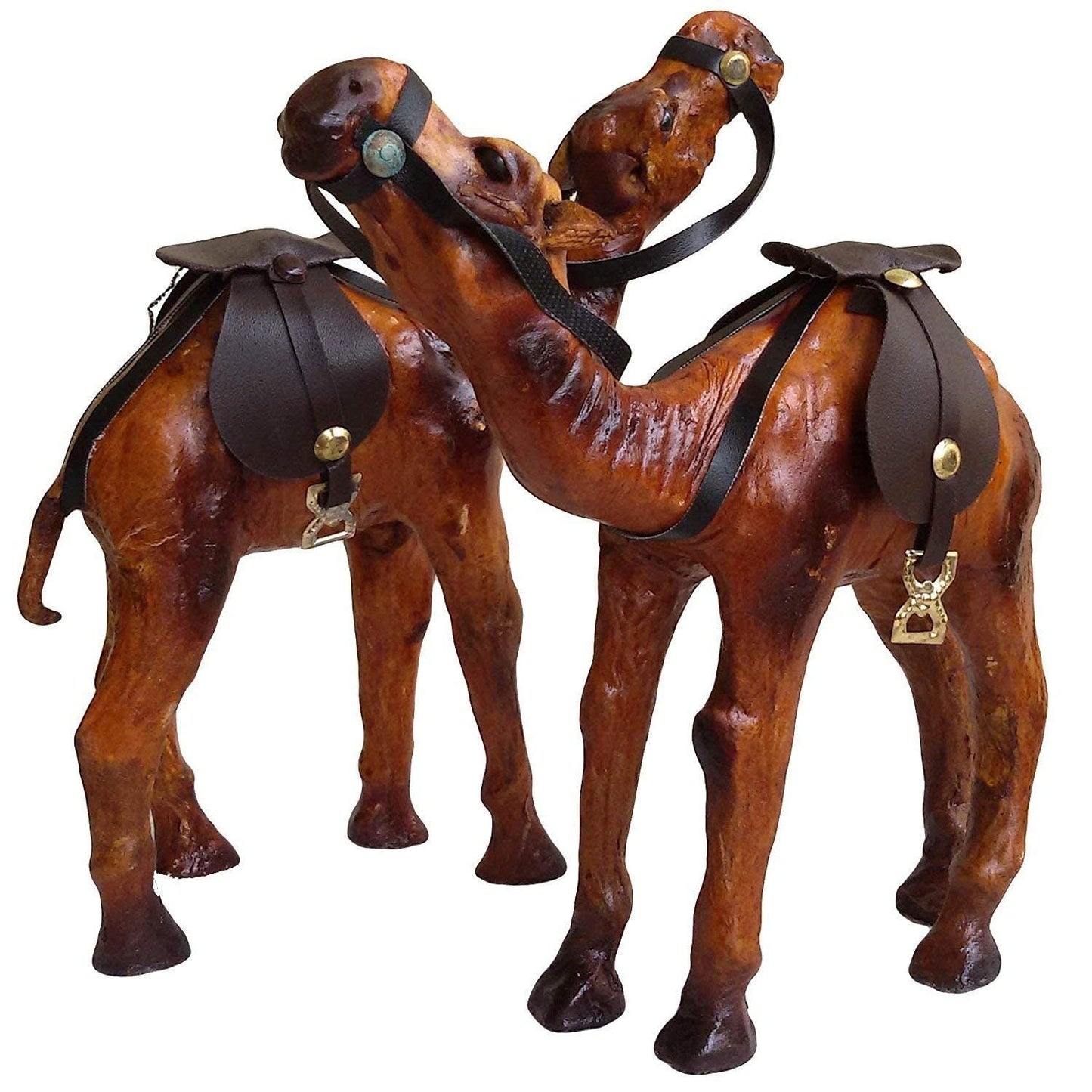 Standing Camel