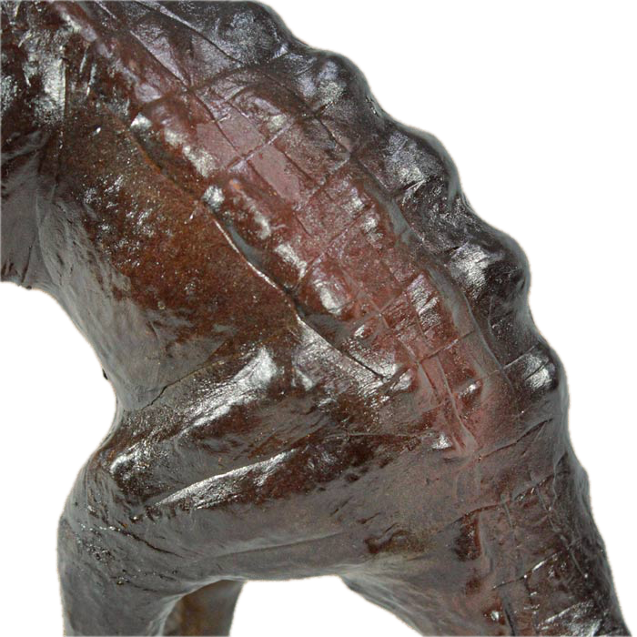Dinosaur