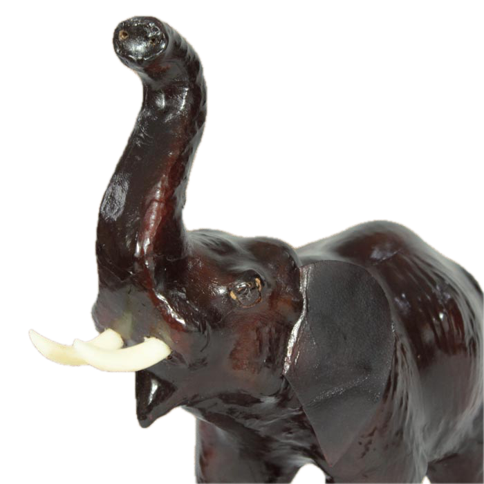 Standing Elephant