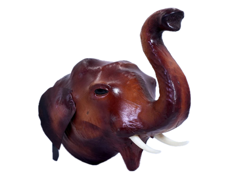Hanging Elephant Head