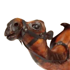 Standing Camel