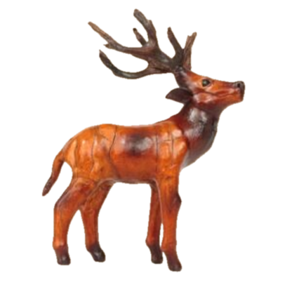 Stag