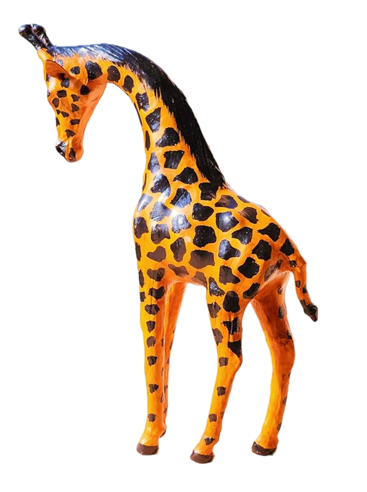 Grazing Giraffe