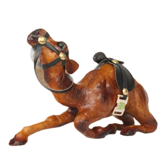 Sitting Camel