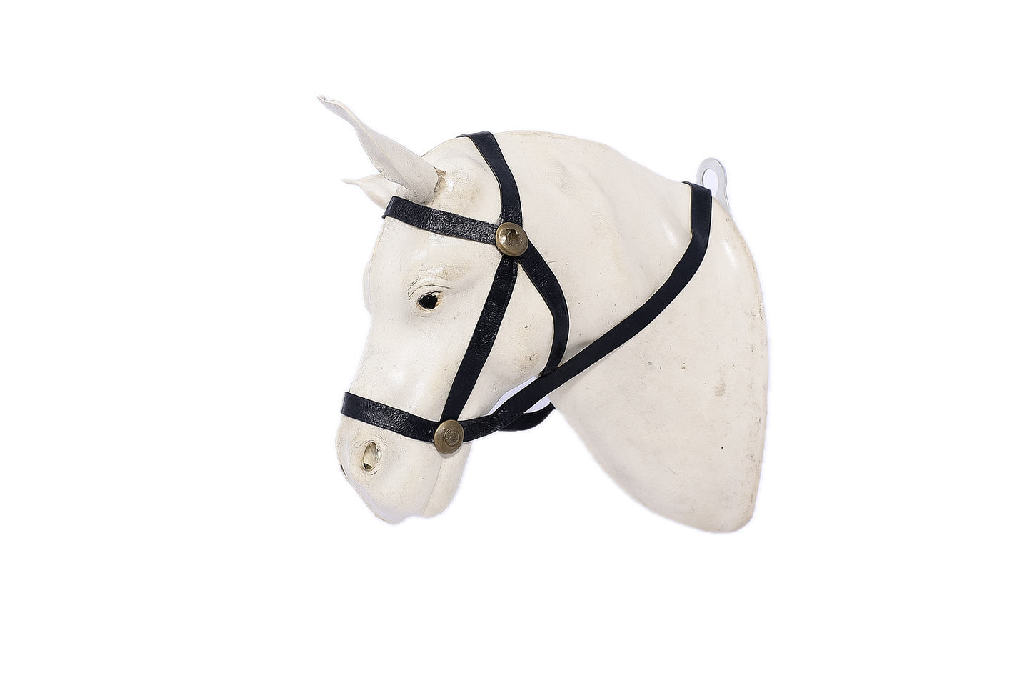 Hanging Horse Head