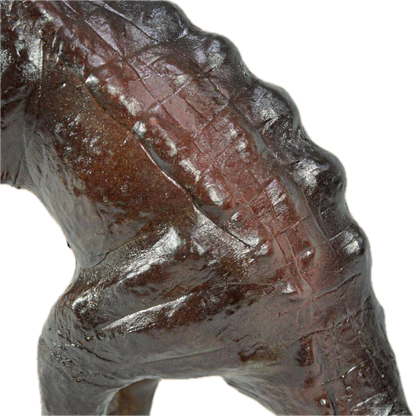 Dinosaur