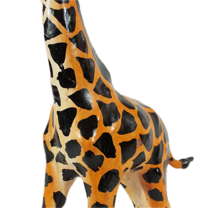 Grazing Giraffe