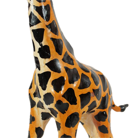 Grazing Giraffe