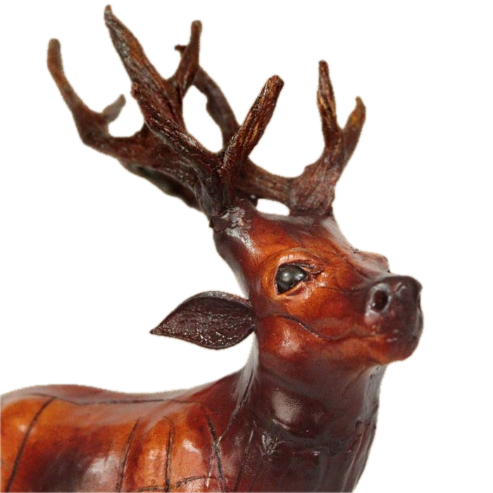 Stag