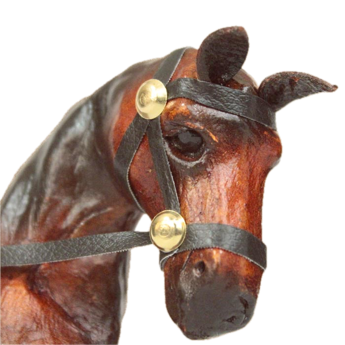 Shivaji Horse