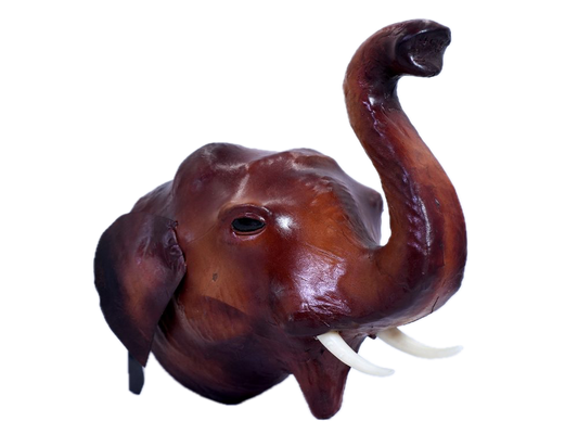 Hanging Elephant Head