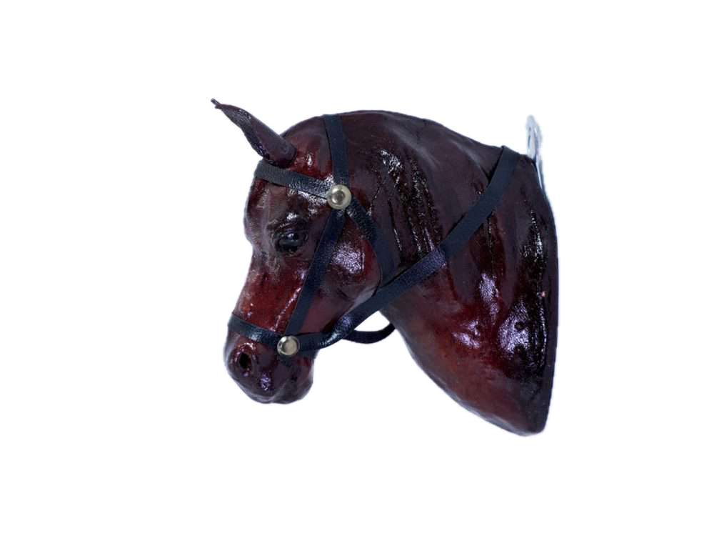 Hanging Horse Head