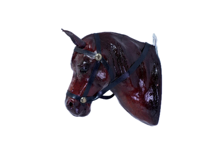 Hanging Horse Head