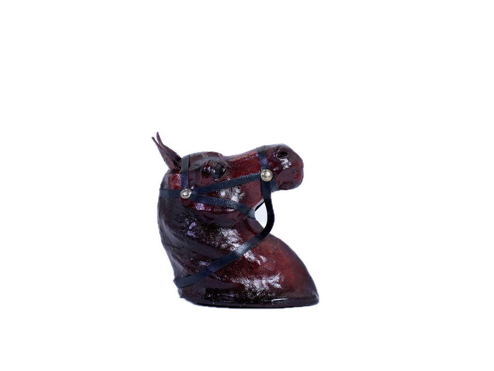Hanging Horse Head