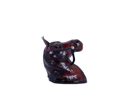 Hanging Horse Head