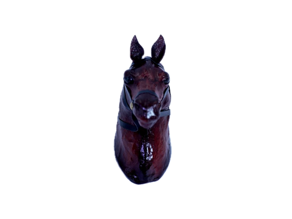 Hanging Horse Head