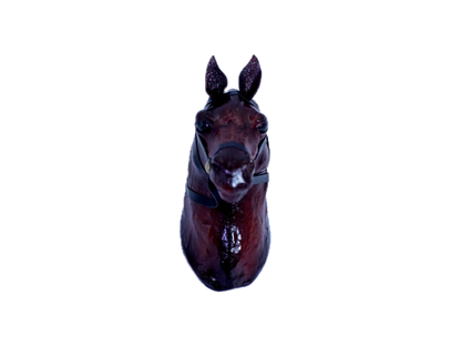 Hanging Horse Head
