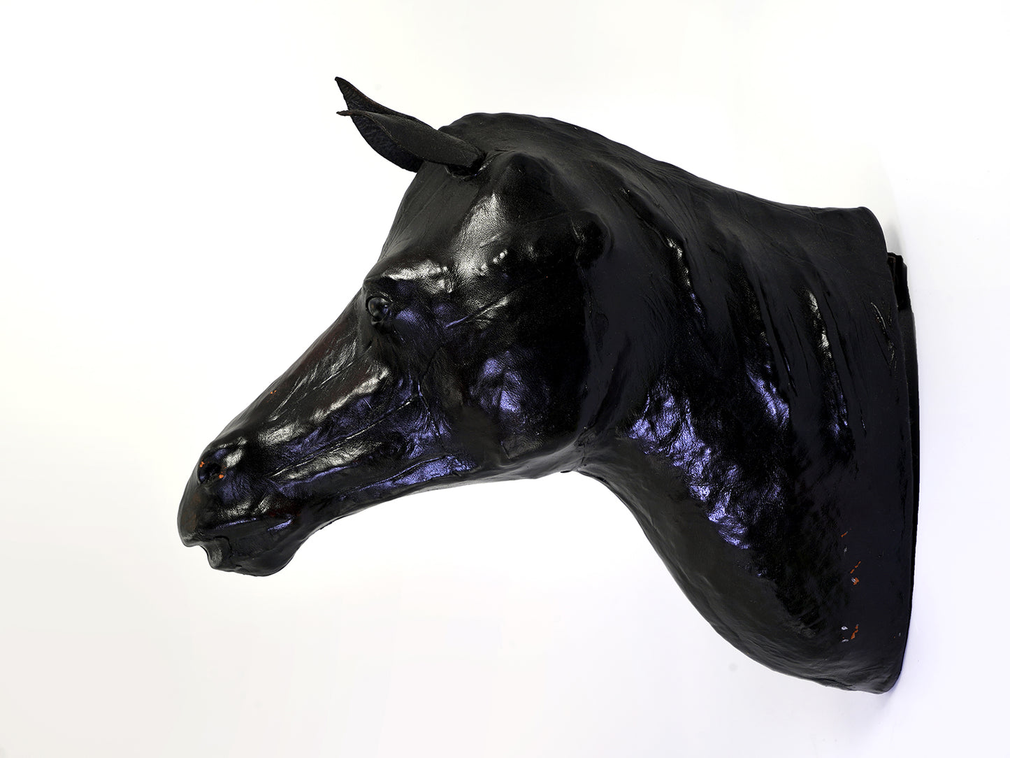 Hanging Horse Head