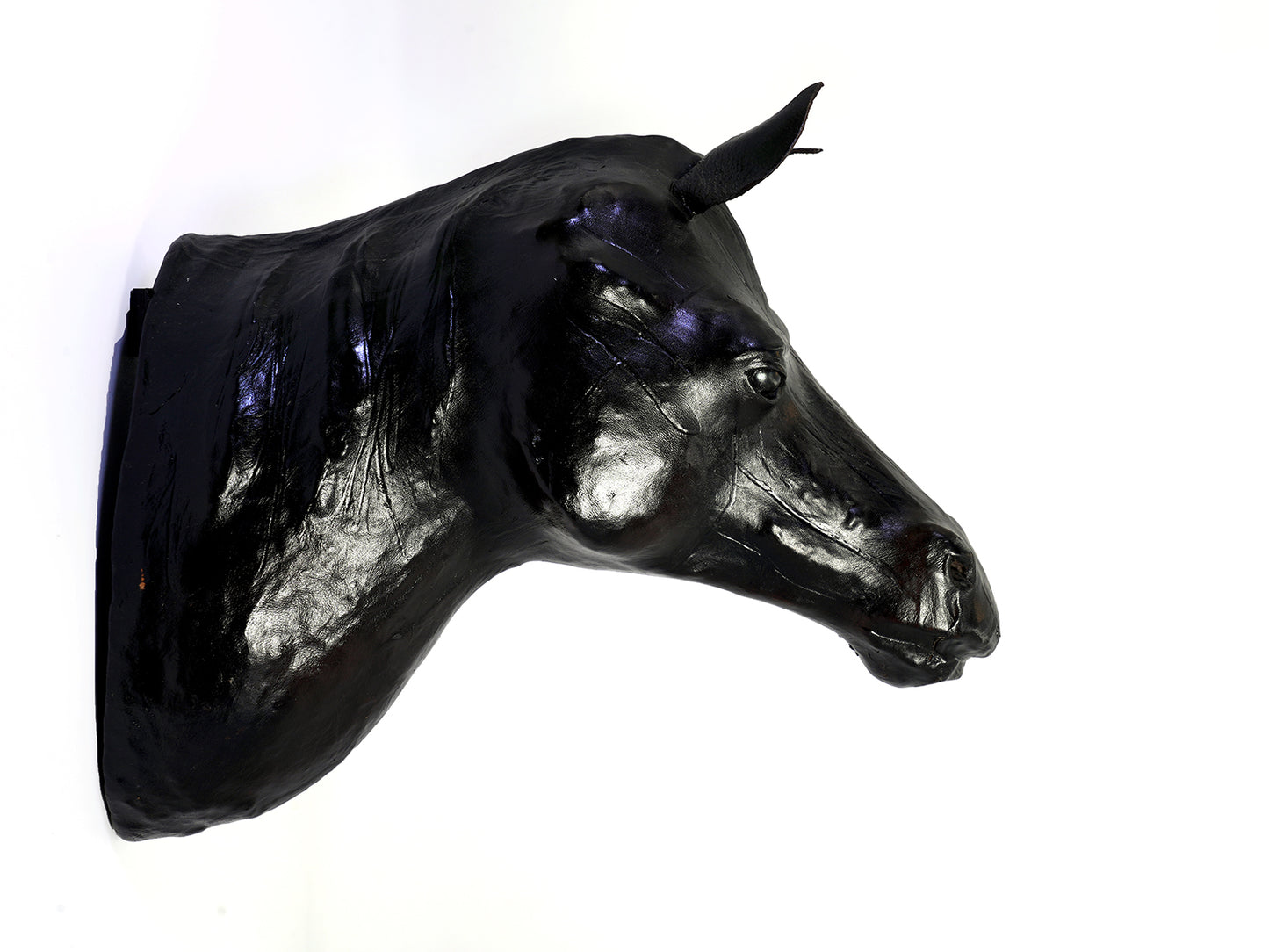 Hanging Horse Head