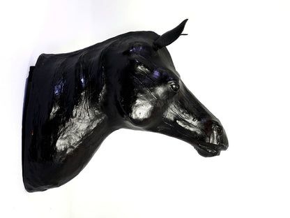 Hanging Horse Head