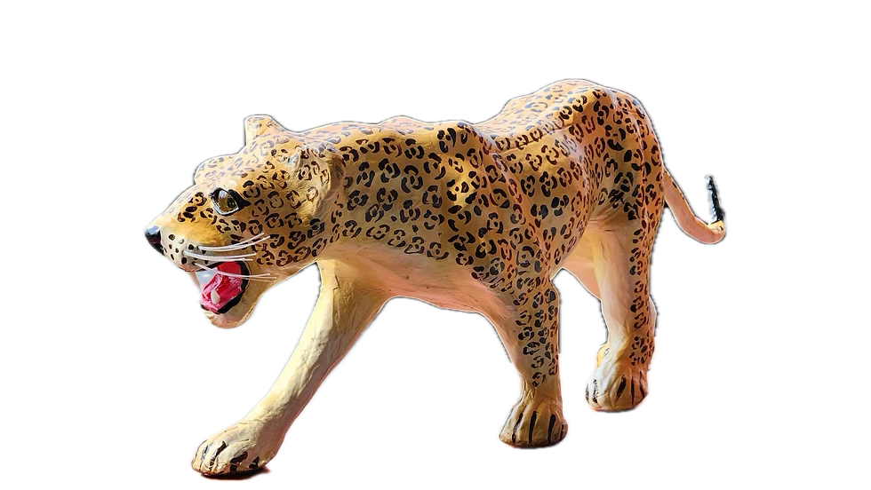 Leopard