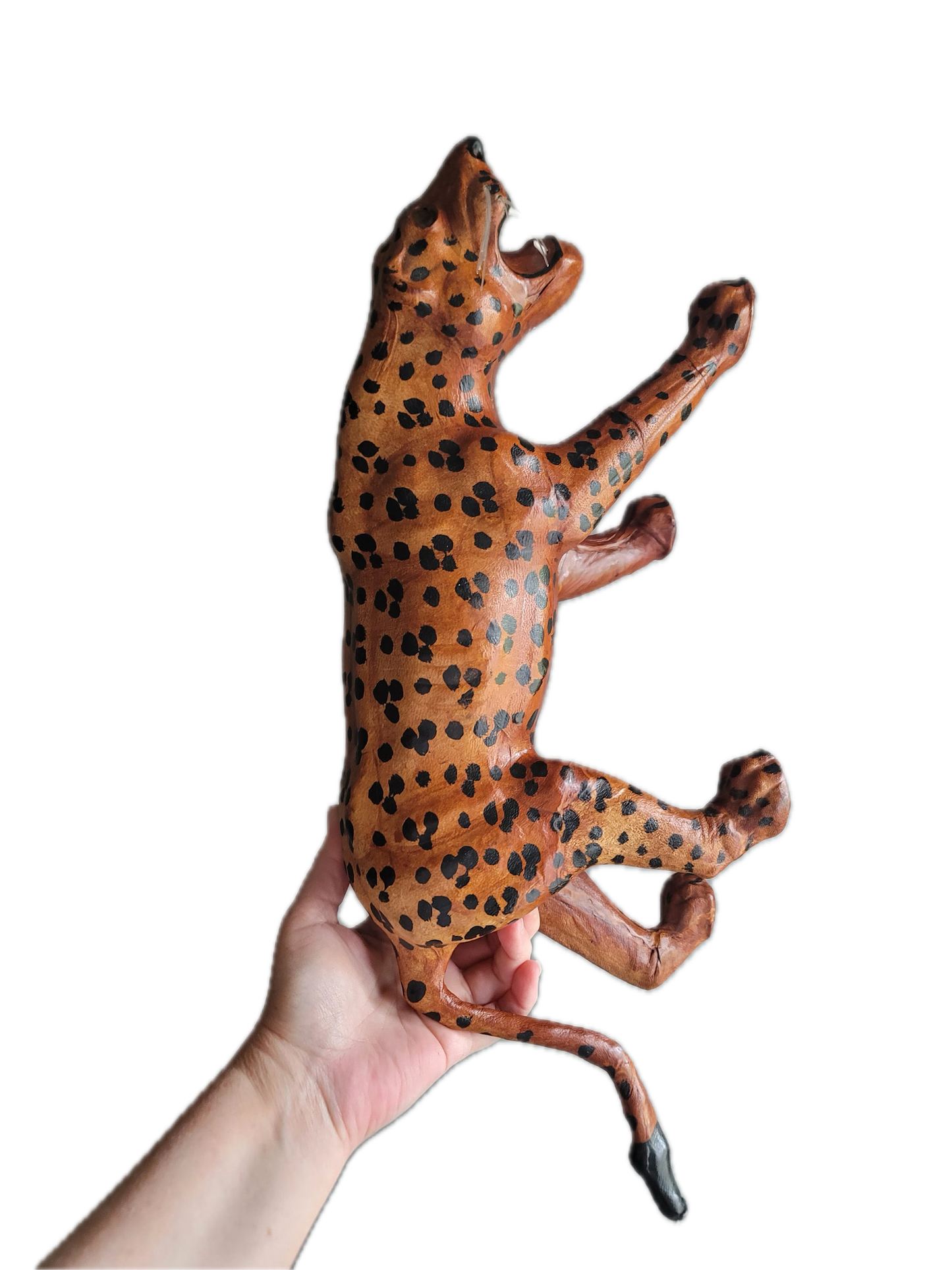 Cheetah