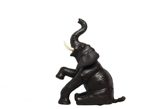 Baby Elephant